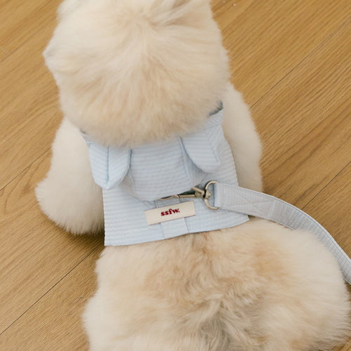 (PRE-ORDER) SSFW Love, Walk Teddy Leash 狗繩 (3 colors)