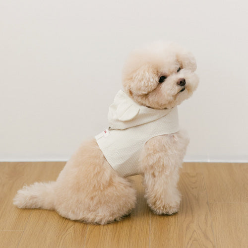 (PRE-ORDER) SSFW Love, Walk Teddy Harness 胸帶 (3 colors)