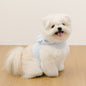 (PRE-ORDER) SSFW Love, Walk Teddy Harness 胸帶 (3 colors)