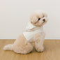 (PRE-ORDER) SSFW Love, Walk Teddy Harness 胸帶 (3 colors)