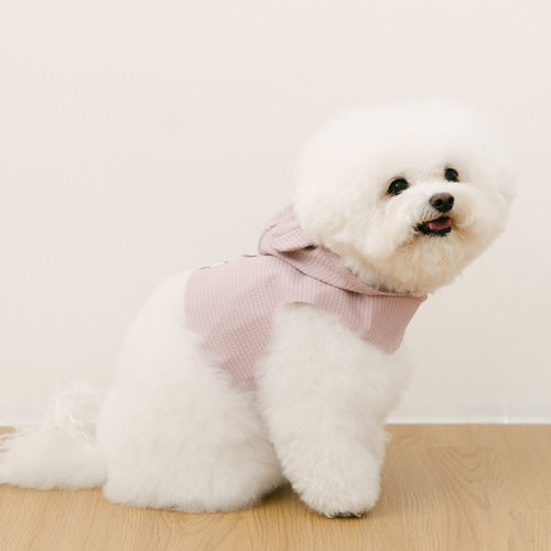 (PRE-ORDER) SSFW Love, Walk Teddy Harness 胸帶 (3 colors)